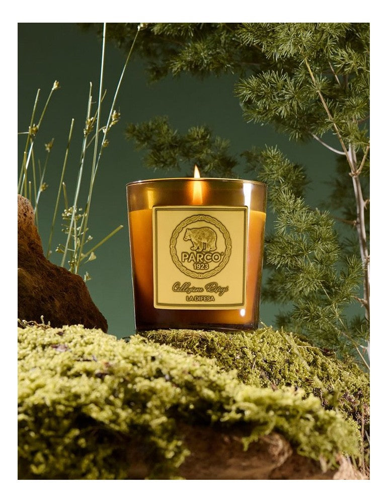 PARCO 1923 – LA DIFESA